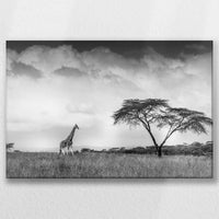 LW-045W030