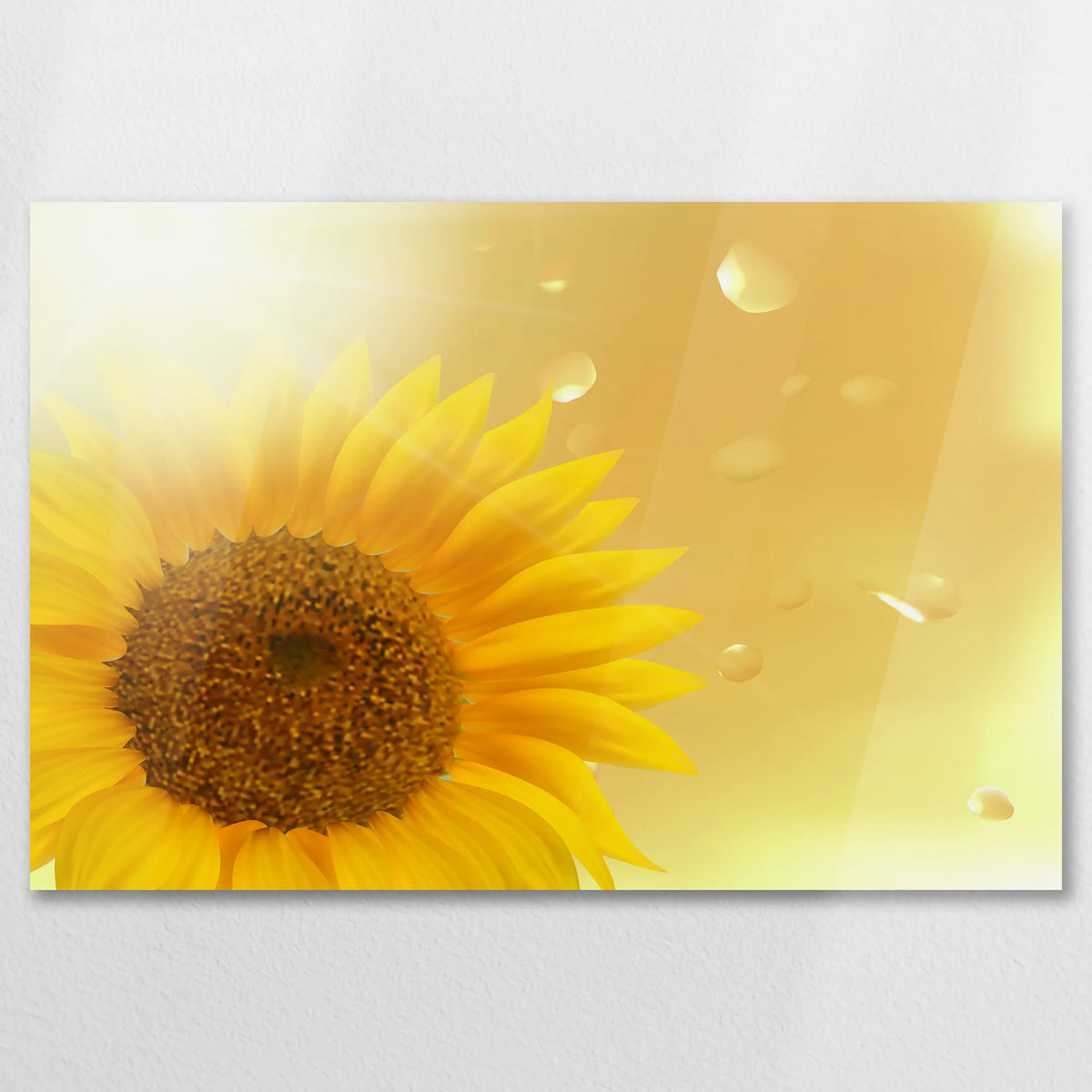AC-075W050