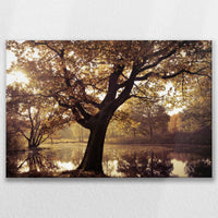 LW-075W050