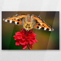AC-030W020