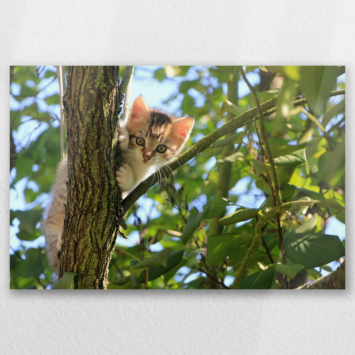 AC-060W040