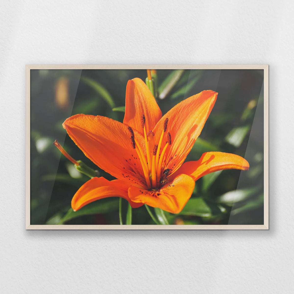 PN-093W062