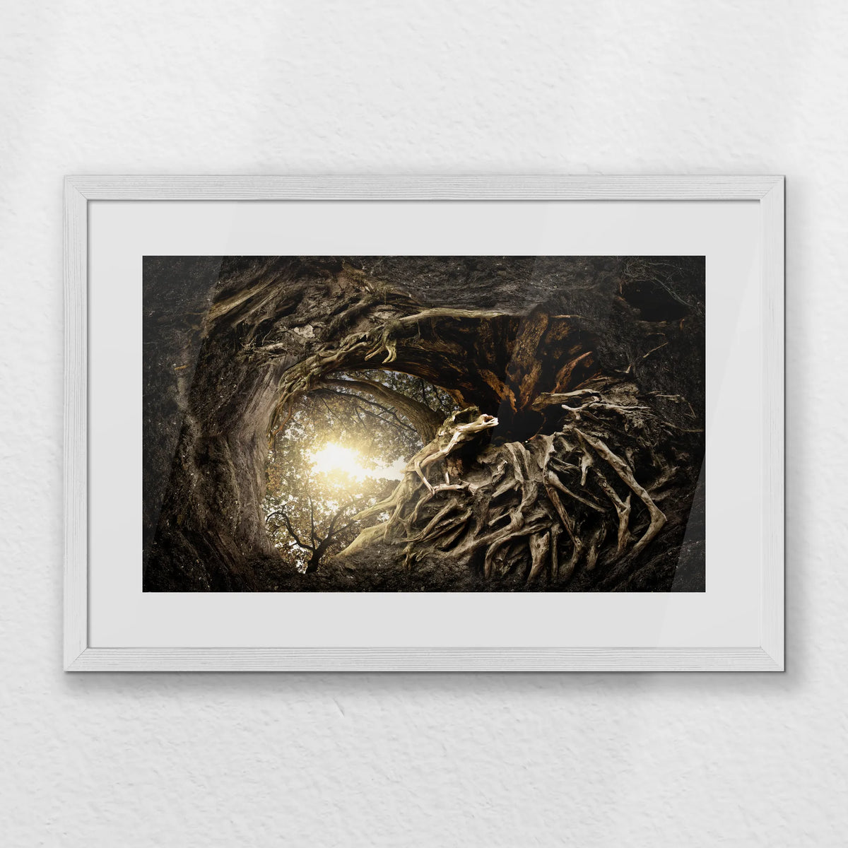 PWP060W040