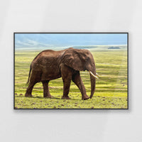 PB-100W070
