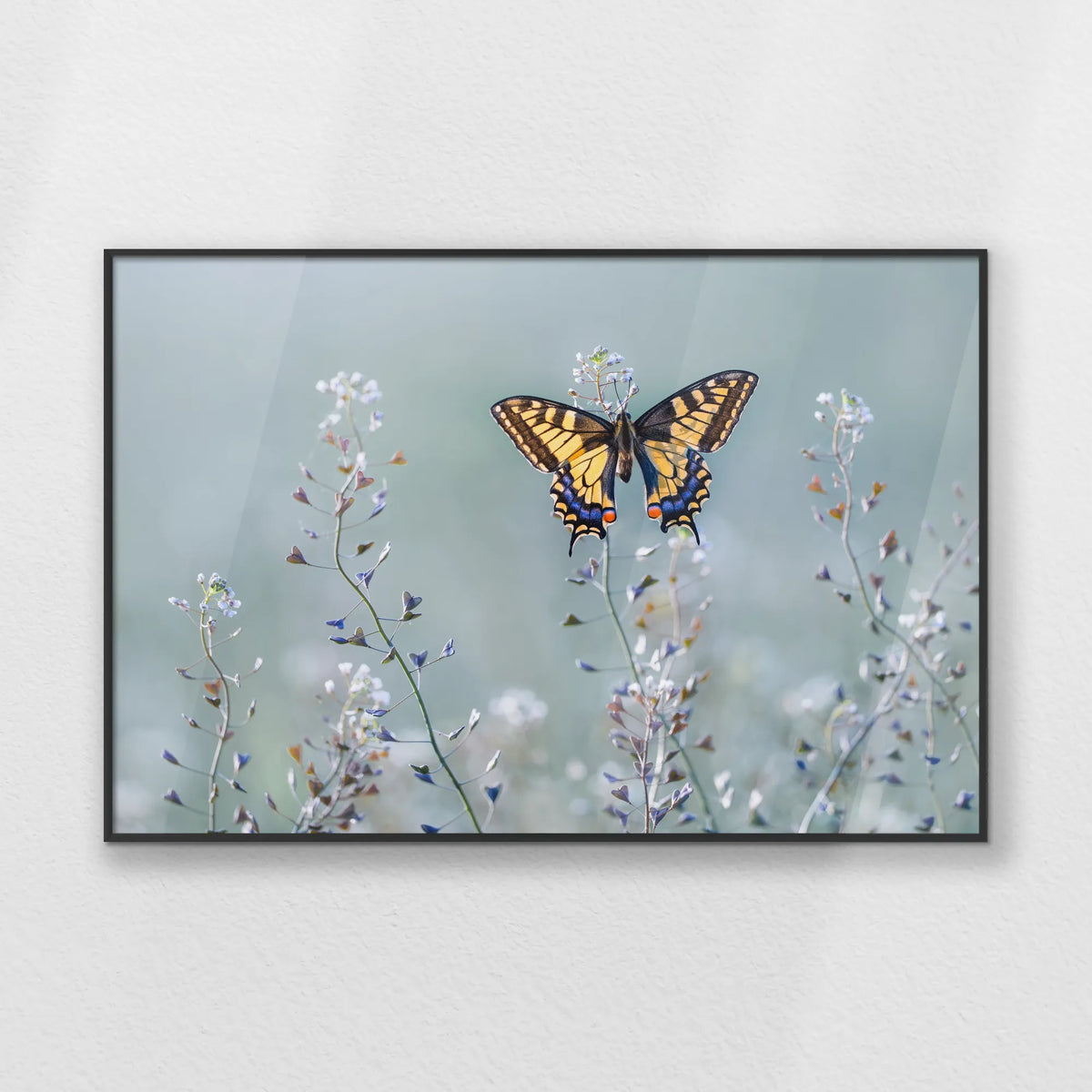 PB-093W062