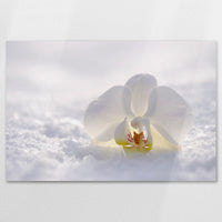 AC-120W080