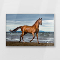 PS-120W080