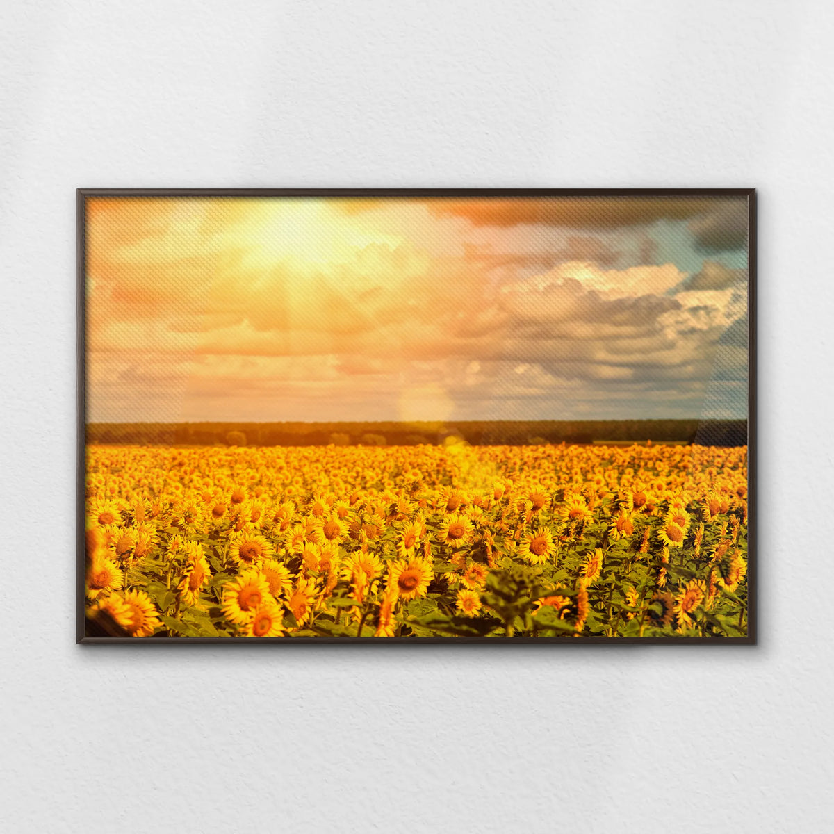 LWN120W080