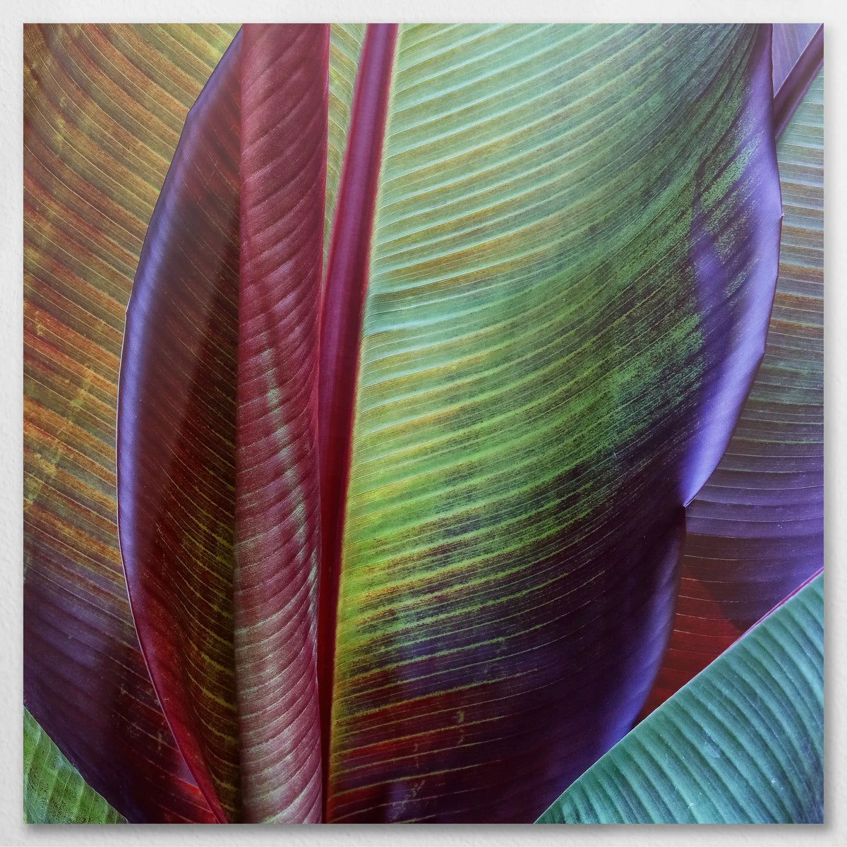 AL-080W080