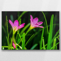 LW-060W040