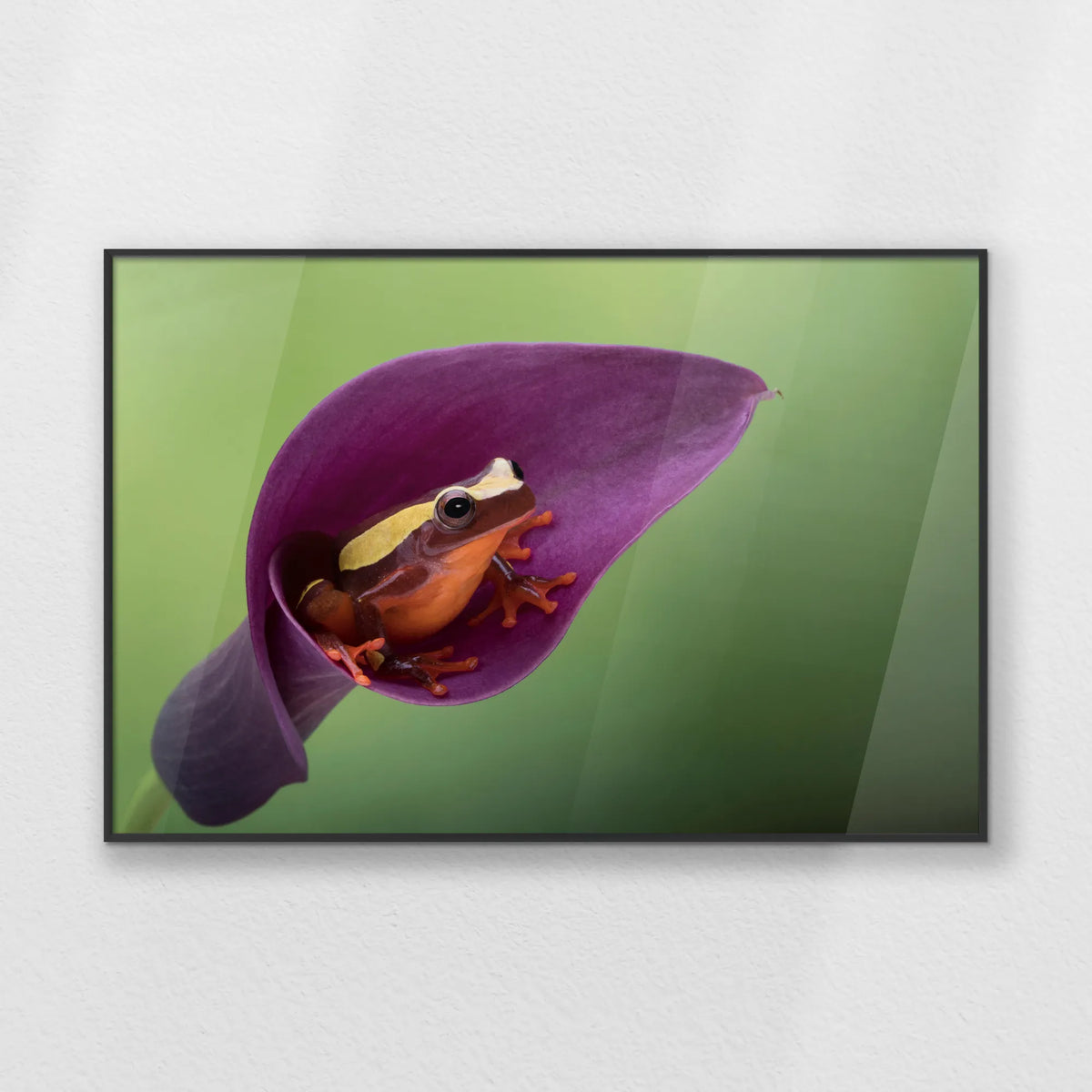 PB-093W062