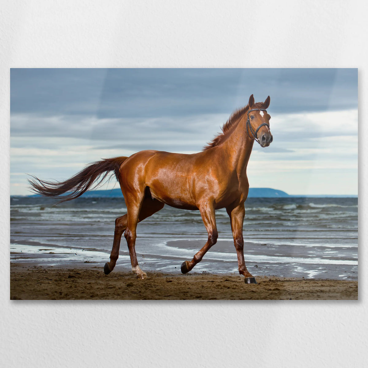 AL-075W050