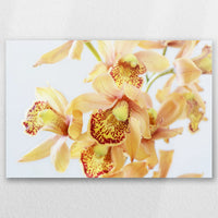 AC-030W020