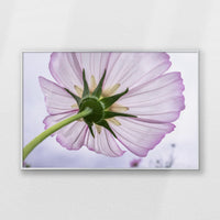PS-093W062