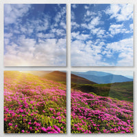AC-100V100