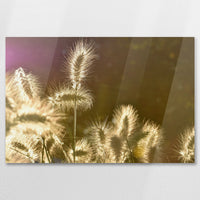 AC-090W060