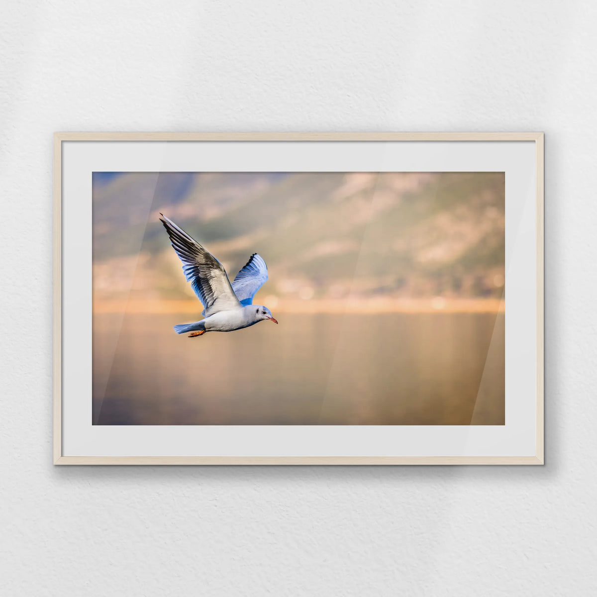 PNP100W070
