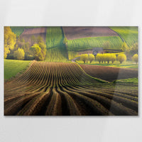 AL-075W050