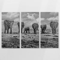 AL-120R080