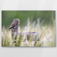 AC-030W020