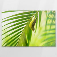AC-075W050