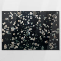 AC-075W050