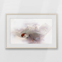 PNP093W062