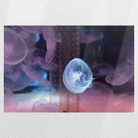 PO-045W030