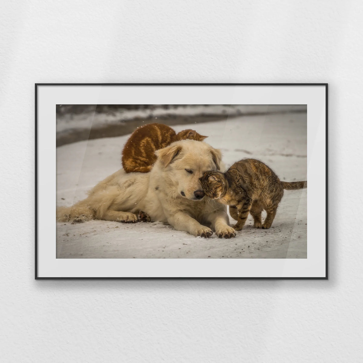 PBP100W070