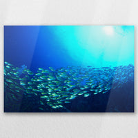 AL-030W020