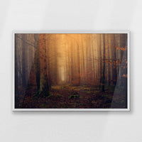 PW-093W062