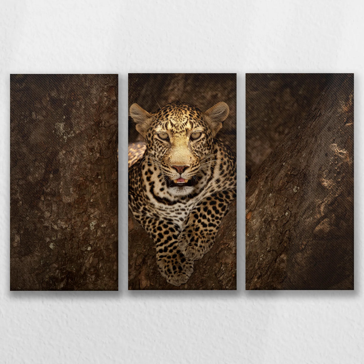 LW-090R060