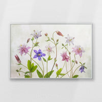 PS-100W070