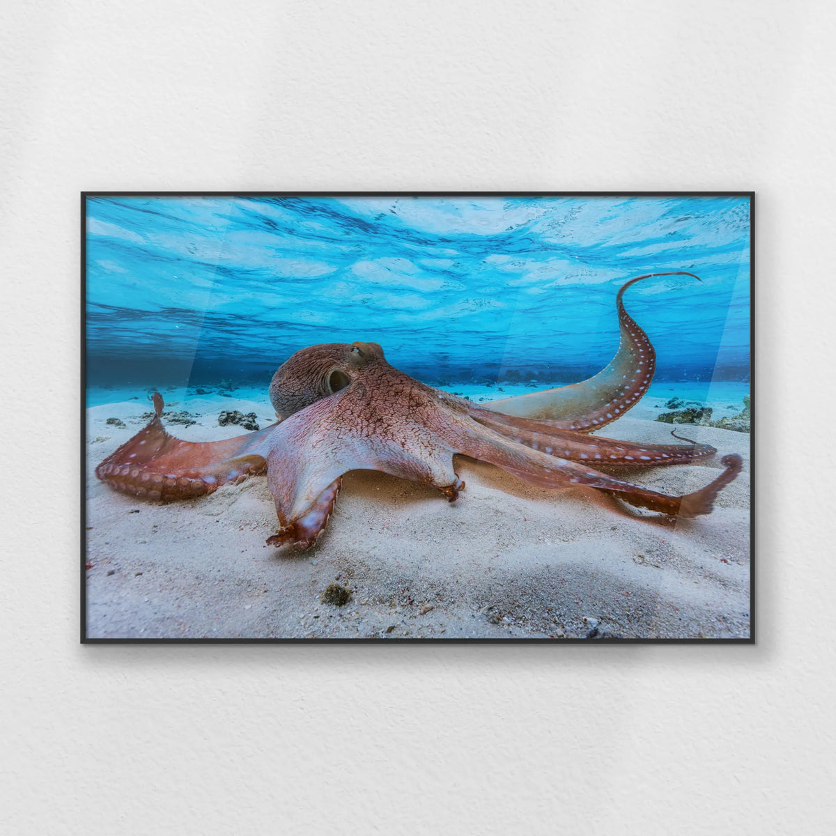 PB-100W070