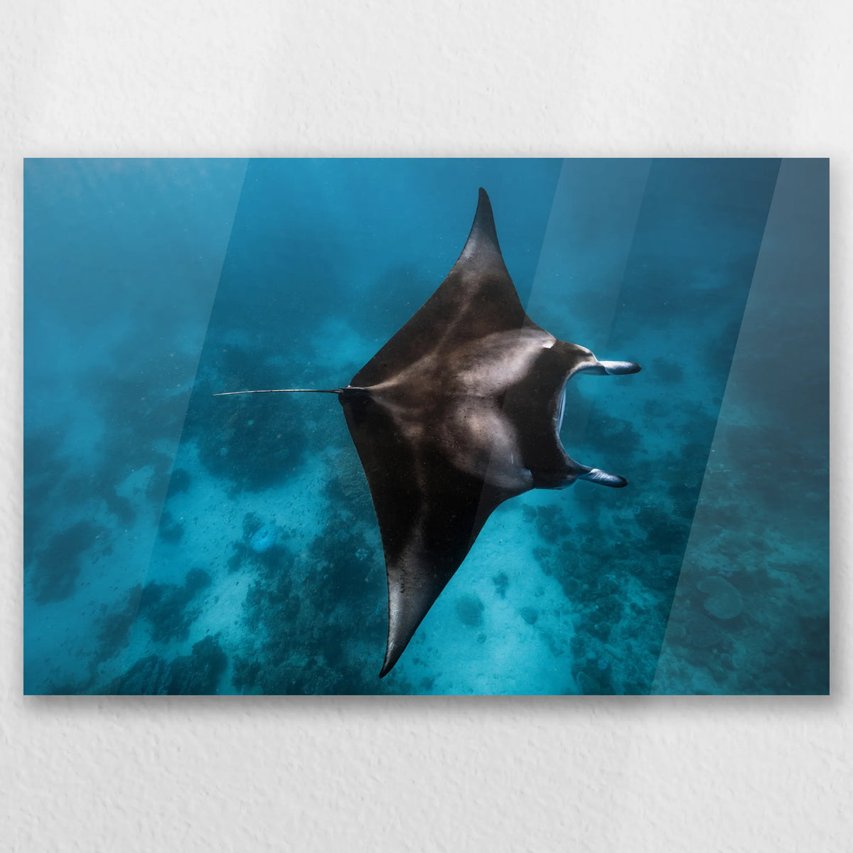 AC-030W020