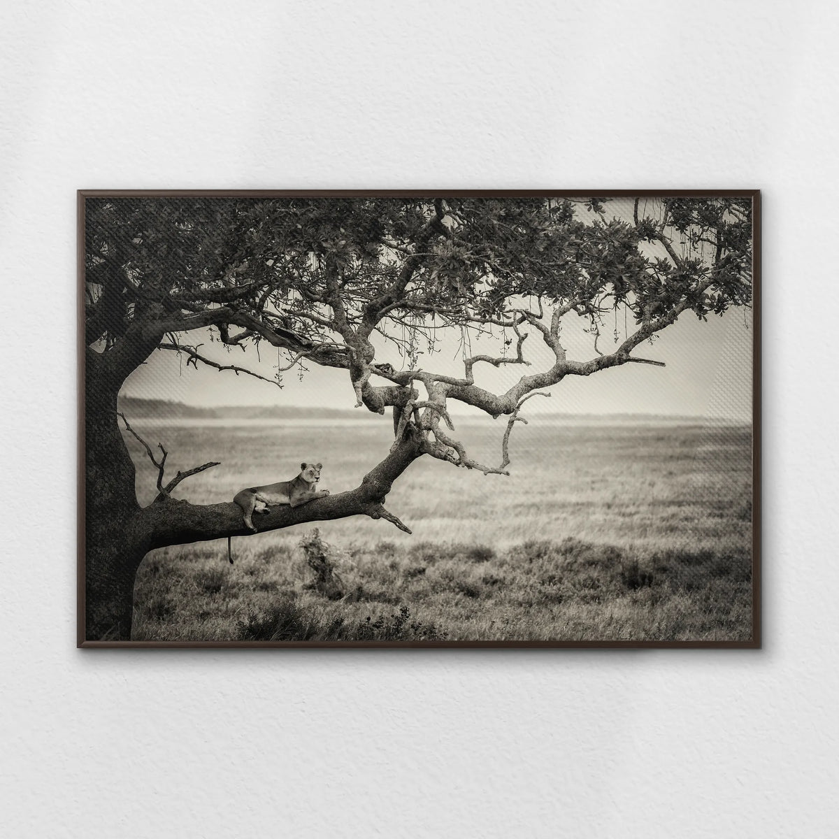 LWN120W080