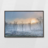 LWN120W080