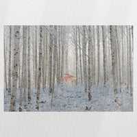 PO-060W040