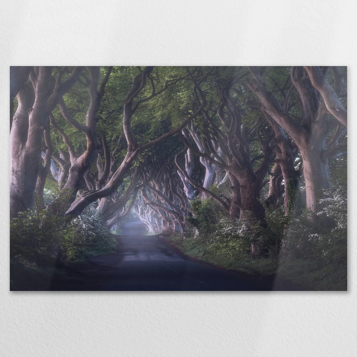 AL-120W080