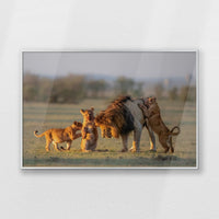PS-093W062