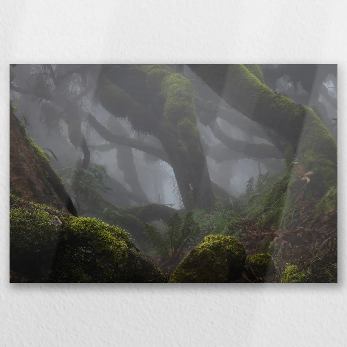 AL-030W020