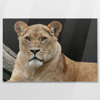AL-075W050