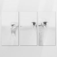 AL-180R120