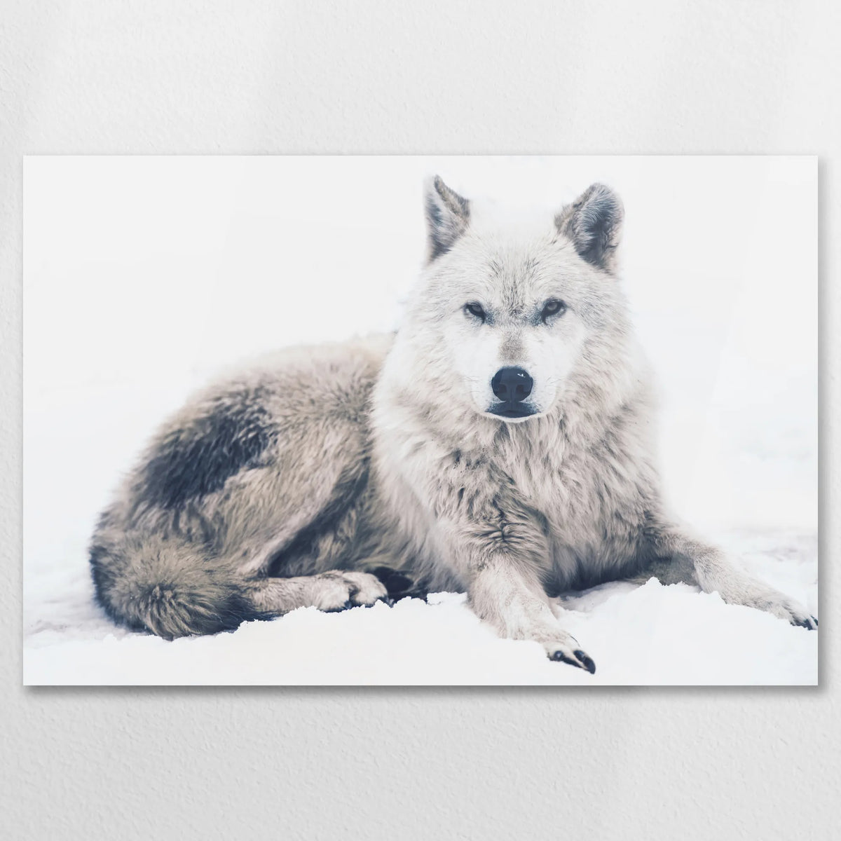 AC-075W050
