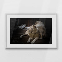 PWP093W062