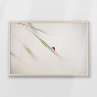 PN-093W062