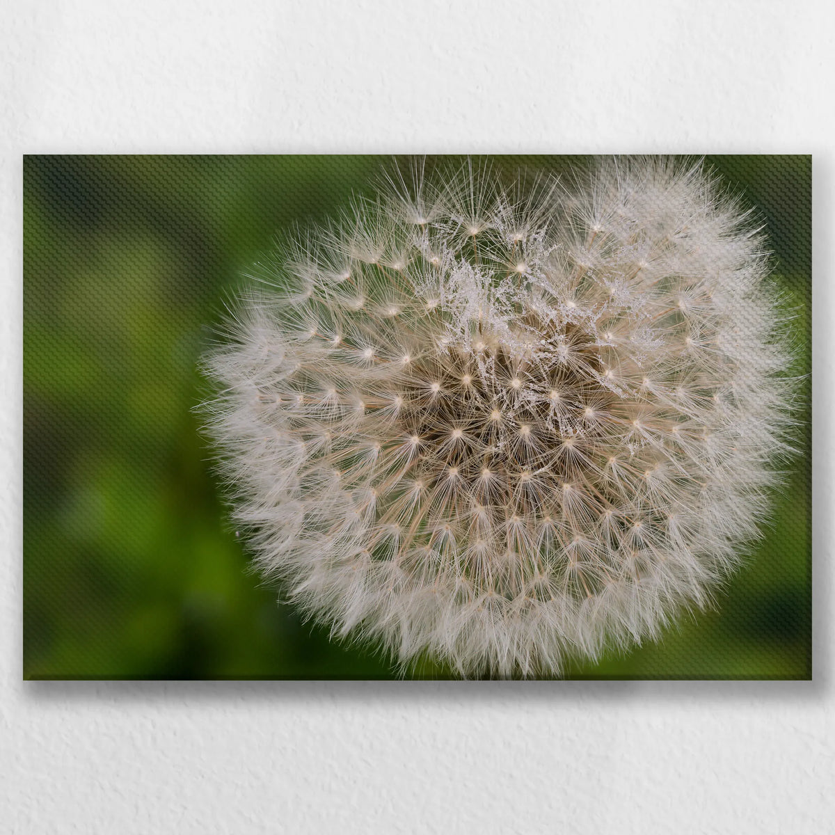 LW-030W020