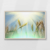 PN-093W062