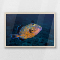 PN-060W040