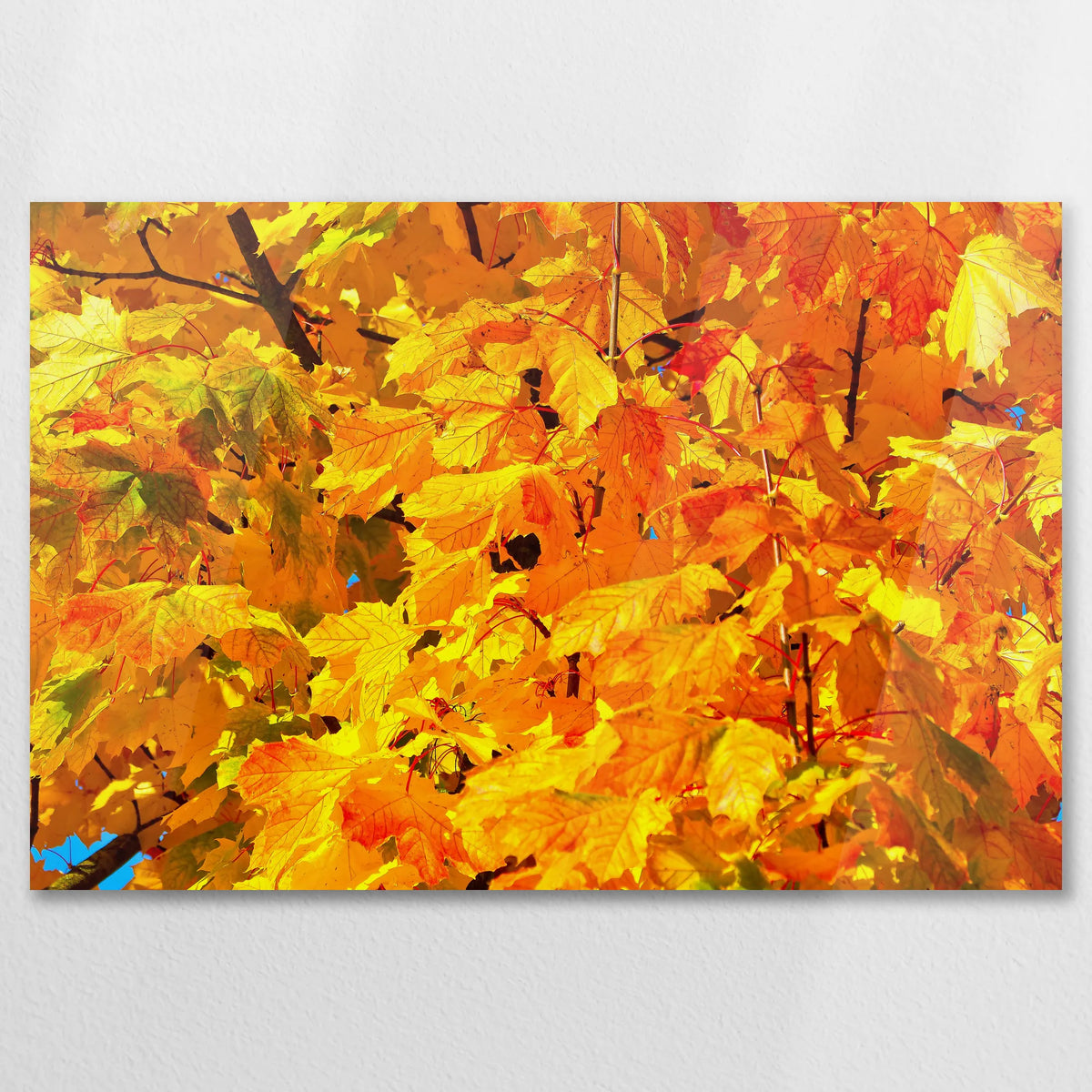 AC-075W050